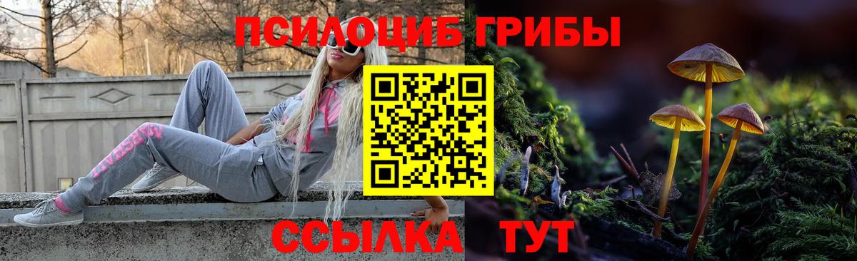 Галлюциногенные грибы MAGIC MUSHROOMS Мичуринск